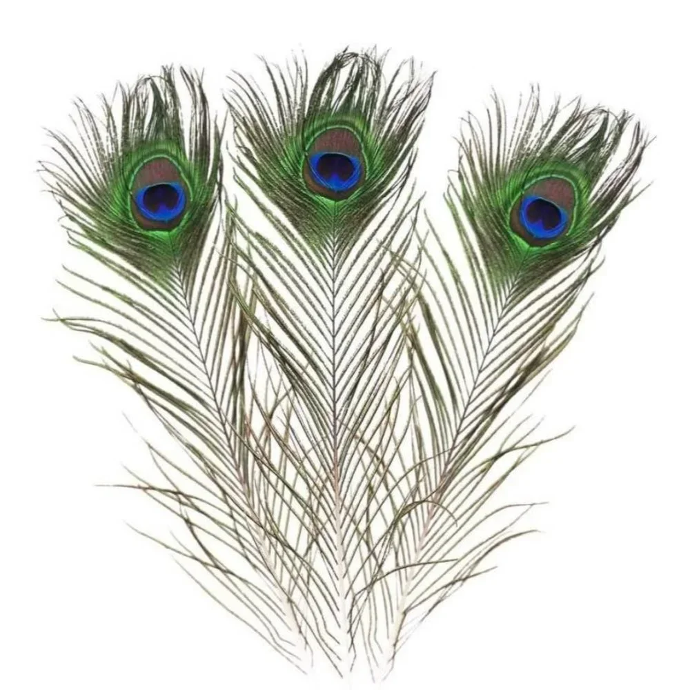 50 Count | Peacock GREEN Blue Feathers 10-12 inches for Wedding Decor - Picture 3 of 7